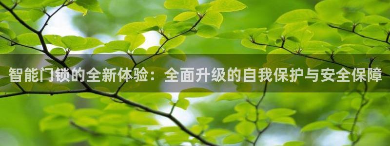 利记官网官方网站：智能门锁的全新体验：全面升级的自我保护与安
