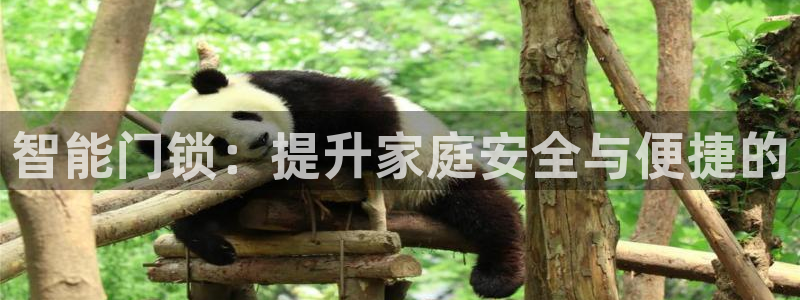 利记体育官网首页：智能门锁：提升家庭安全与便捷的