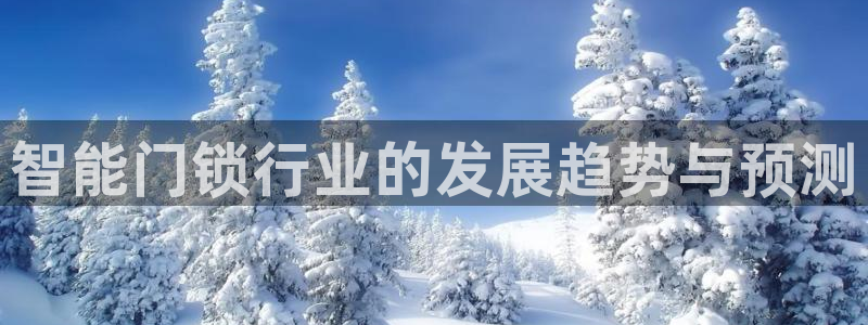 新利记官网：智能门锁行业的发展趋势与预测
