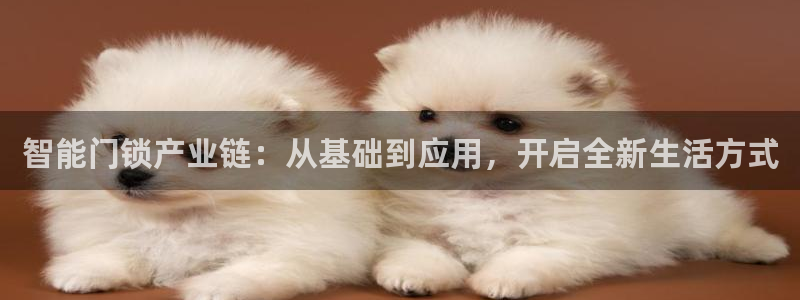 香港利记集团官网地址：智能门锁产业链：从基础到应用，开启全新