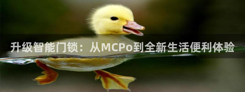 利记体育在线官网：升级智能门锁：从MCPo到全新生活便利体验