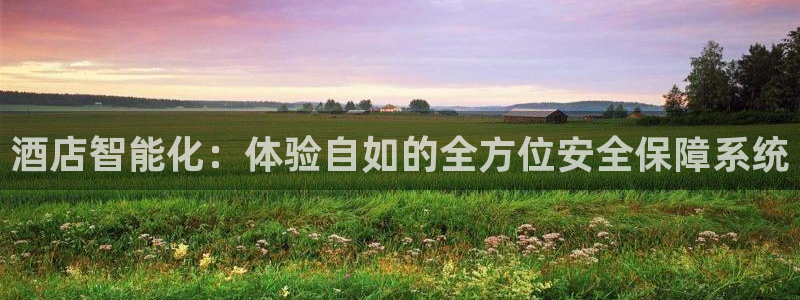 万利记官网：酒店智能化：体验自如的全方位安全保障系统