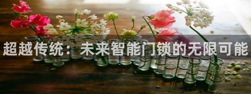 利记手机官网入口：超越传统：未来智能门锁的无限可能