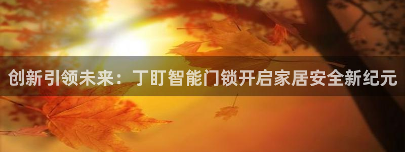 SBOBET利记官网：创新引领未来：丁盯智能门锁开启家居安全