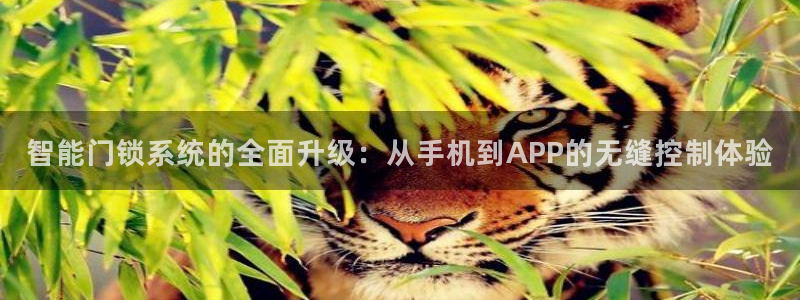 利记手机官网bb电子平台官方：智能门锁系统的全面升级：从手机