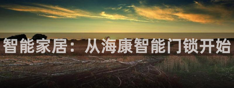 利记厨具官网售后：智能家居：从海康智能门锁开始