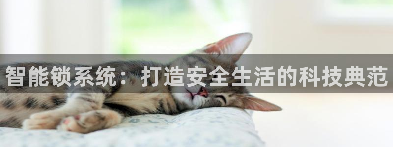 sbo利记体育官网注册：智能锁系统：打造安全生活的科技典范
