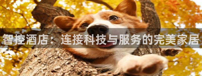 利记体育在线官网：智控酒店：连接科技与服务的完美家居