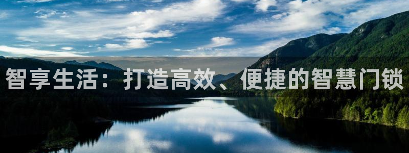 澳门大利来记官网：智享生活：打造高效、便捷的智慧门锁