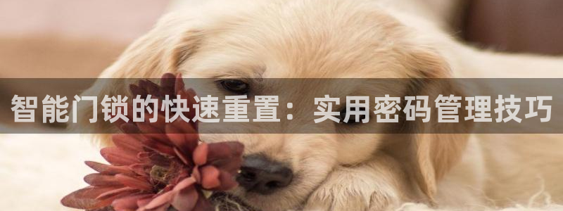 利记博彩官网APP：智能门锁的快速重置：实用密码管理技巧
