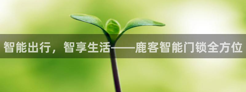 利记博彩官网APP：智能出行，智享生活——鹿客智能门锁全方位