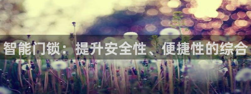 利记彩票导航网址官网hd71：智能门锁：提升安全性、便捷性的