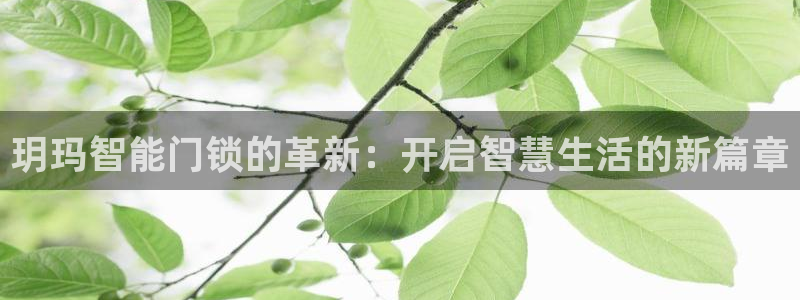 利记坊官网：玥玛智能门锁的革新：开启智慧生活的新篇章