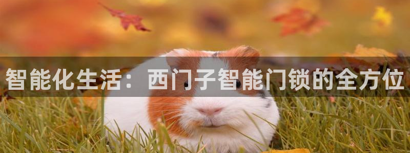 利记官网登录入口：智能化生活：西门子智能门锁的全方位