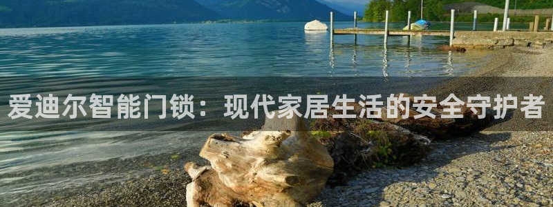 sbo利记体育官网注册：爱迪尔智能门锁：现代家居生活的安全守