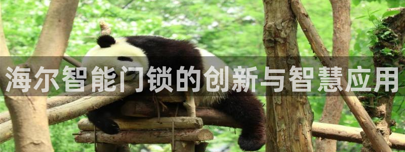 利记 官网：海尔智能门锁的创新与智慧应用