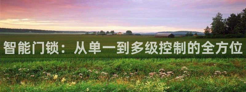 利记手机官网bb电子平台官方：智能门锁：从单一到多级控制的全