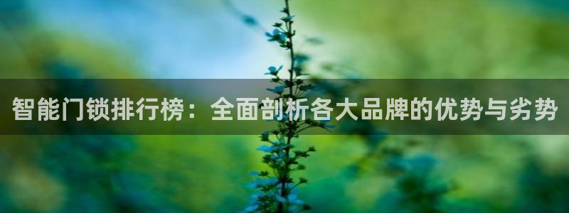香港利记lee kee集团官网：智能门锁排行榜：全面剖析各大