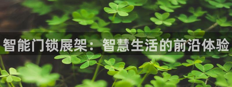 sbobet利记官网登录入口：智能门锁展架：智慧生活的前沿体
