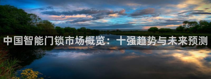 利记彩票导航网址官网hd71：中国智能门锁市场概览：十强趋势