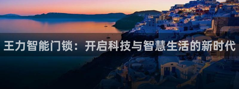 利记官网入口最新版：王力智能门锁：开启科技与智慧生活的新时代