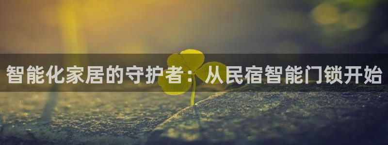 利记体育手机版官网：智能化家居的守护者：从民宿智能门锁开始