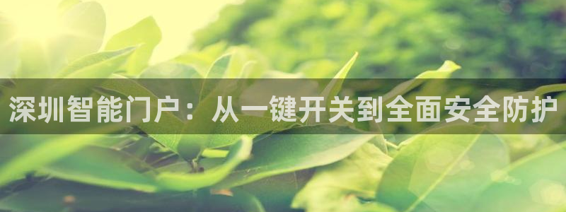 利记官网：深圳智能门户：从一键开关到全面安全防护