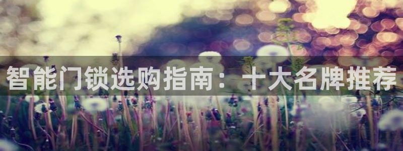 利记平台官网：智能门锁选购指南：十大名牌推荐