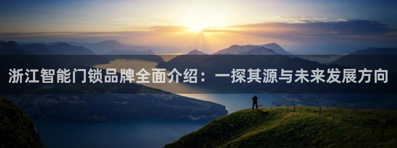 利记 利记官网：浙江智能门锁品牌全面介绍：一探其源与未来发展