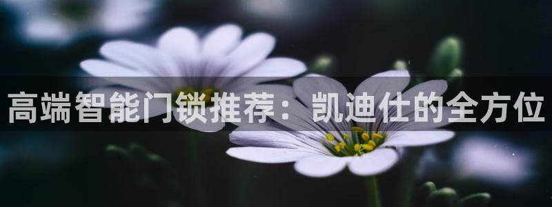 sbotop利记官网：高端智能门锁推荐：凯迪仕的全方位