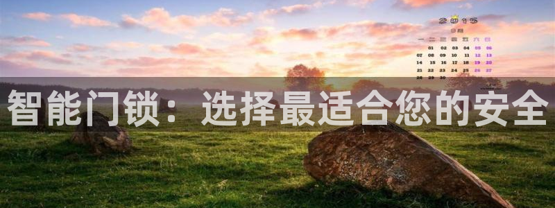 利记集团官网：智能门锁：选择最适合您的安全