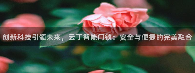 利记体育app官网：创新科技引领未来，云丁智能门锁：安全与便