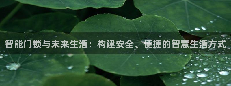 利记官网官方网址：智能门锁与未来生活：构建安全、便捷的智慧生