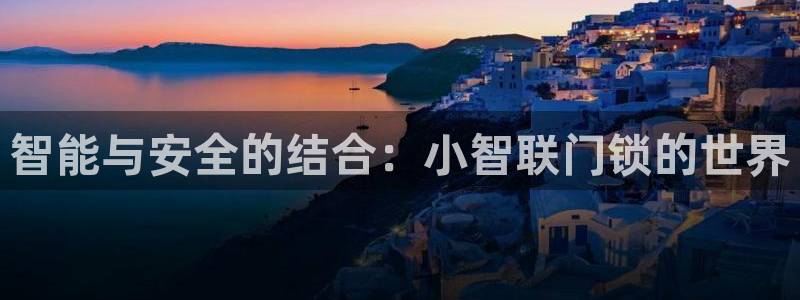 利记手机官网电子mg官方网站：智能与安全的结合：小智联门锁的