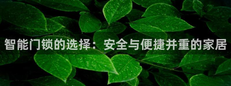 香港利记集团官网地址：智能门锁的选择：安全与便捷并重的家居