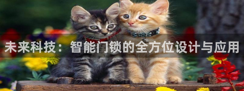 利记官网加盟：未来科技：智能门锁的全方位设计与应用