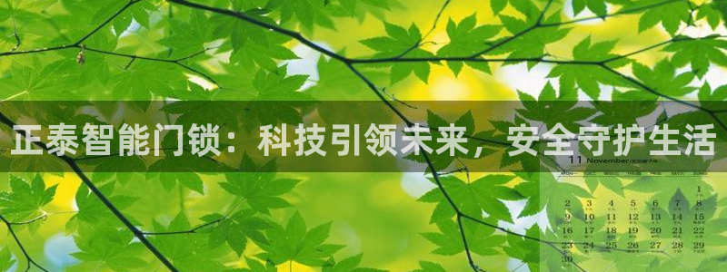 利记游戏官网：正泰智能门锁：科技引领未来，安全守护生活