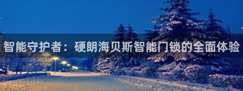 利记投注平台官网：智能守护者：硬朗海贝斯智能门锁的全面体验