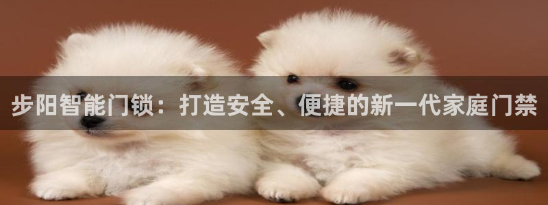 利记国际有限公司官网：步阳智能门锁：打造安全、便捷的新一代家