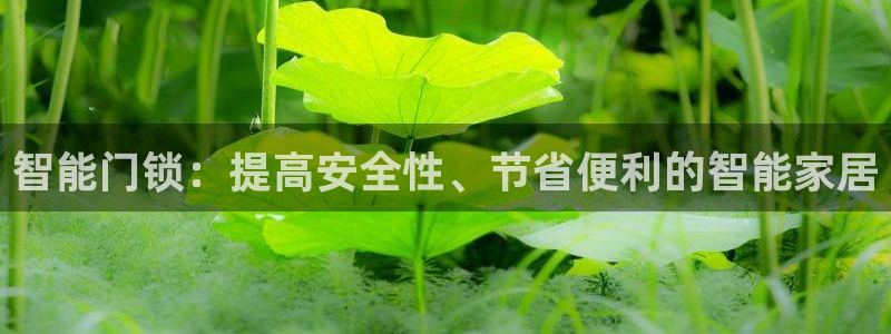 利记手机官网bb电子平台官方：智能门锁：提高安全性、节省便利