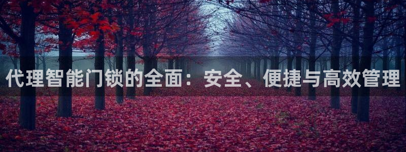 利记官网app：代理智能门锁的全面：安全、便捷与高效管理