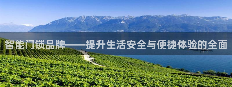 利记坊平台唯一官网：智能门锁品牌——提升生活安全与便捷体验的