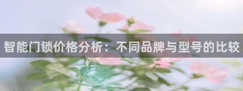 利记官网：智能门锁价格分析：不同品牌与型号的比较