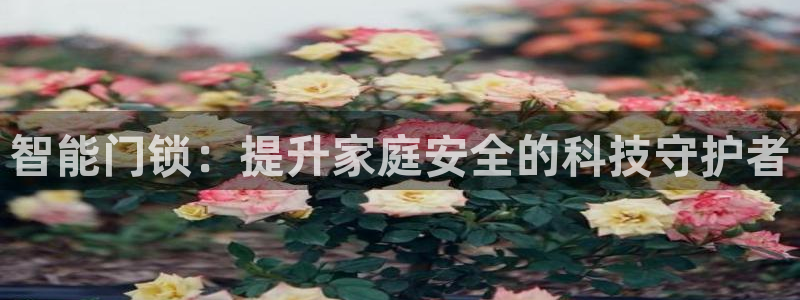 利记官网香菜1：智能门锁：提升家庭安全的科技守护者