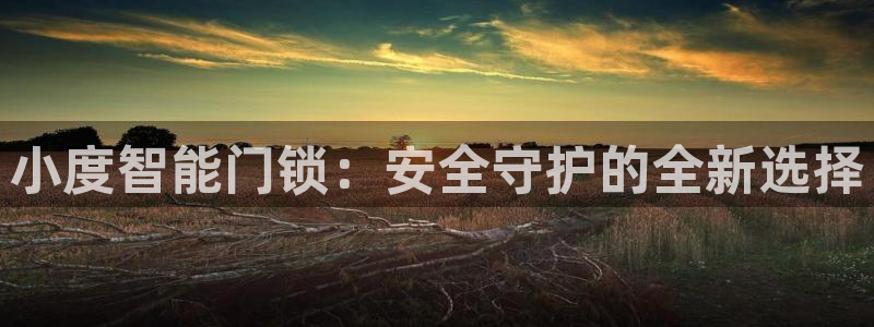 大利来记官网：小度智能门锁：安全守护的全新选择
