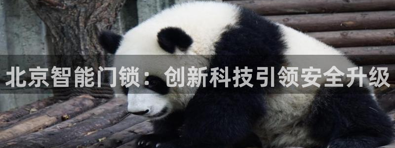 香港利记集团官网：北京智能门锁：创新科技引领安全升级