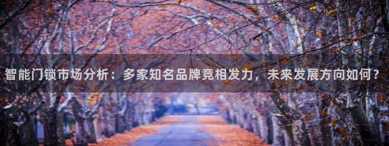 利记官网备用网址：智能门锁市场分析：多家知名品牌竞相发力，未