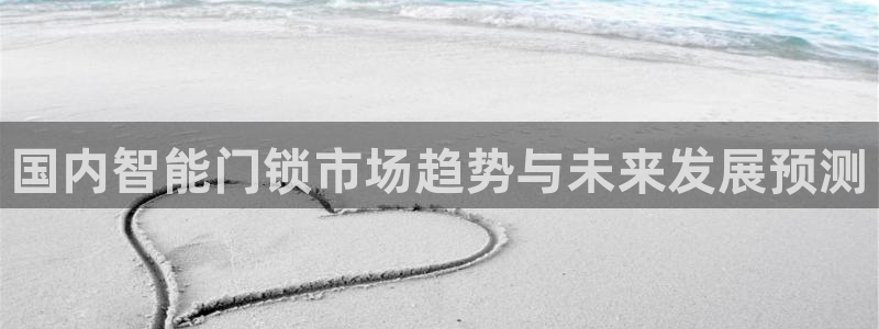 利记官网注册网：国内智能门锁市场趋势与未来发展预测