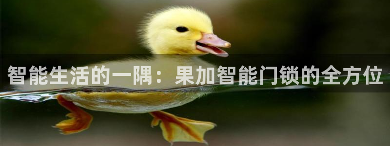 利记官网入口最新版：智能生活的一隅：果加智能门锁的全方位