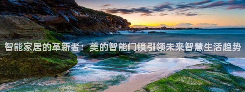 利记厨具官网客服电话：智能家居的革新者：美的智能门锁引领未来